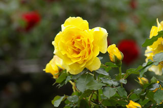 �����u�V��