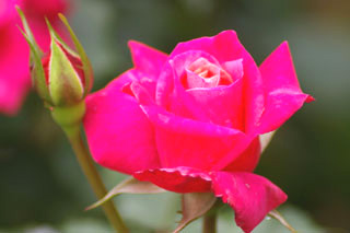 �����u�V��