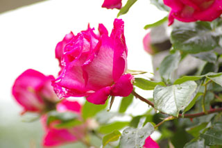 �����u�V��