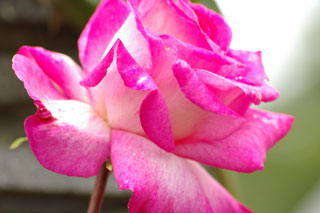 �����u�V��