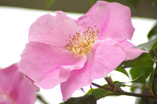 �����u�V��