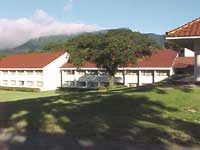 �n�C�����h�z�e��