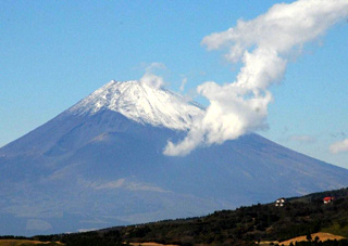 �����T��