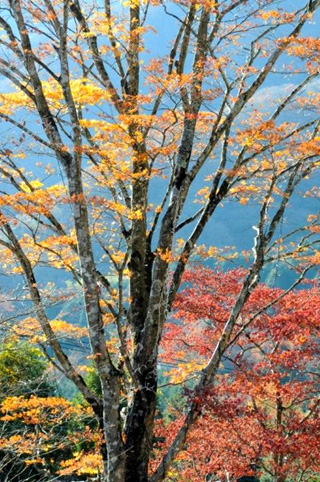 �����T��