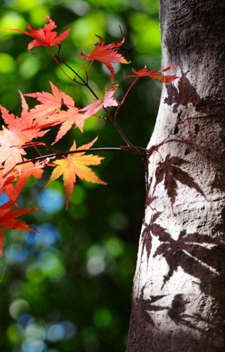 ���q�T��