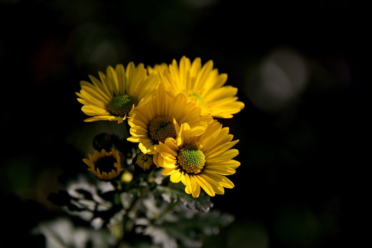 ���q�T��