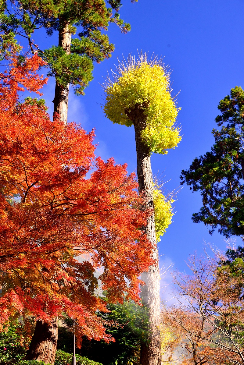 ���q�T��