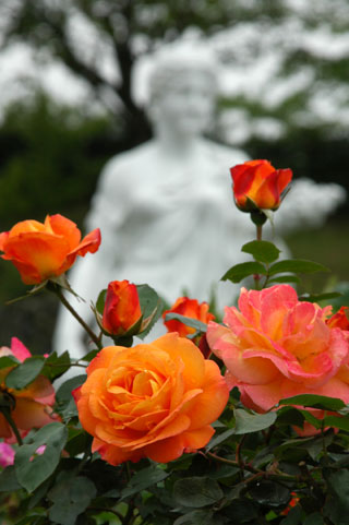 ���c�o����