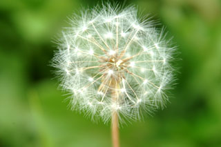 �O�Y��������