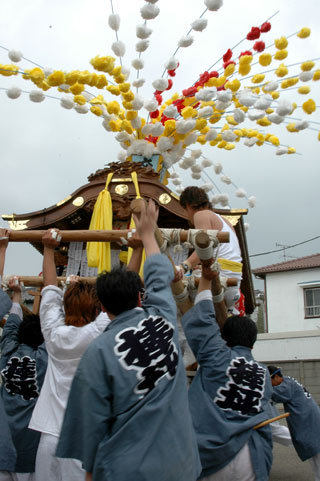 �O�Y��������