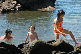 �O�Y��������