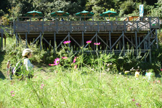 �v���l�Ԃ̍�