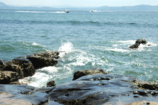 �O�Y�����ω���