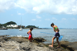 �O�Y�����ω���