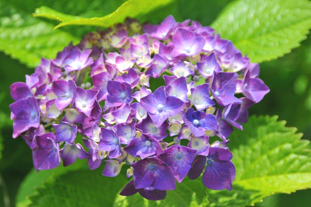 ���{��V���E�u��