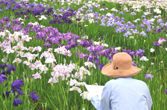 ���{��V���E�u��