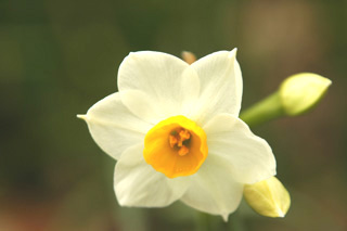 �c�Y�~�̗�