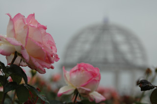 ���l���i��