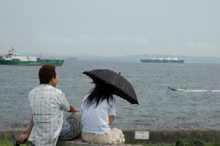 �V���{���^���[