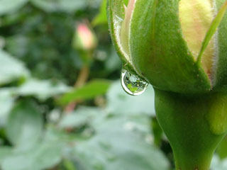 ���c�o����