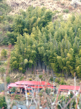 �c�Y�~�̗�