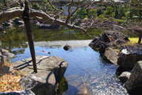 ������������