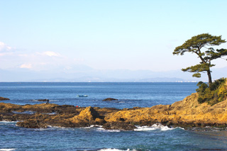 ���Ό���