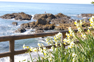 ���Ό���