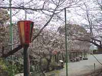 �O�Y����