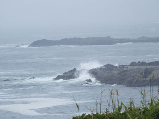 �O�Y��������