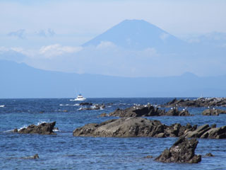 �O�Y��������