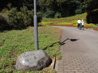 �v���l�Ԃ̍�