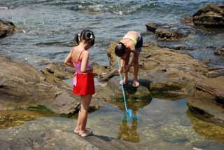 �O�Y�����ω���