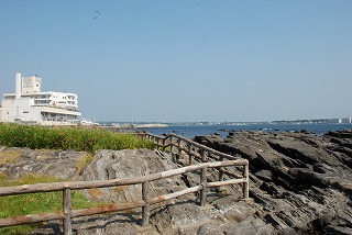 �t�R�E����