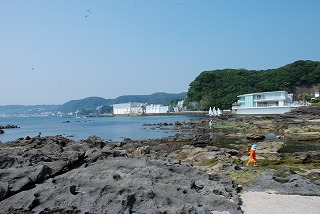 �t�R�E����