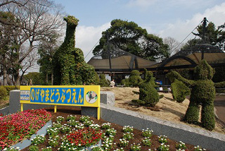 ��юR������