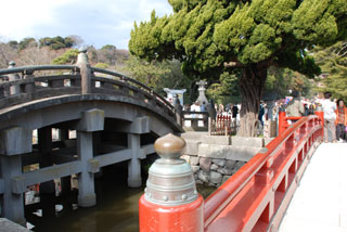 ���q�T��