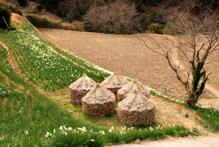 �]�����働�[�h