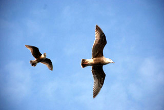 �]�����働�[�h