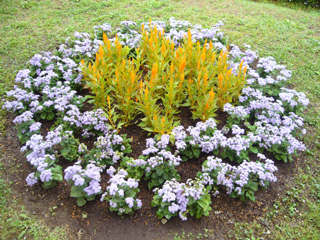 ���l���i��