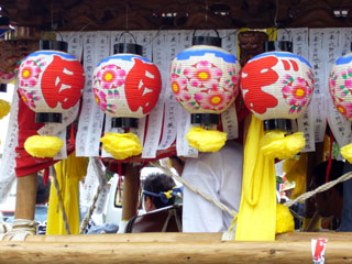 �O�Y��������