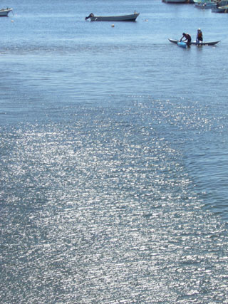 �O�Y��������