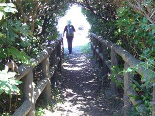 �O�Y��������