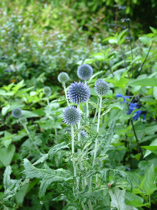 ���l���i��