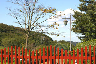 �v���l�@�Ԃ̍�