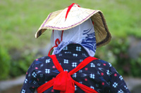 ���傤�ԉ�