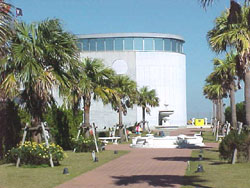 �q�f�~���[�W�A��