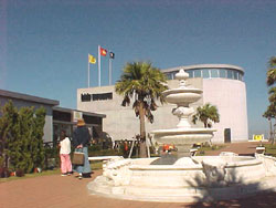 �q�f�~���[�W�A��