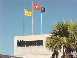 �q�f�~���[�W�A��