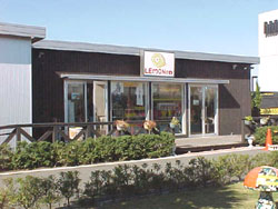 �q�f�~���[�W�A��